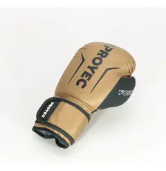 Guante Box Proyec-Forza 14 onzas - La Casa del Luchador