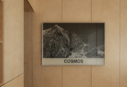 Cosmos