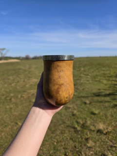 Cuia Bago de Touro com Virola de Alpaca | Natural - 1134