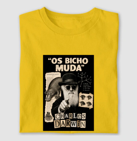 Voz Da Sabedoria 2