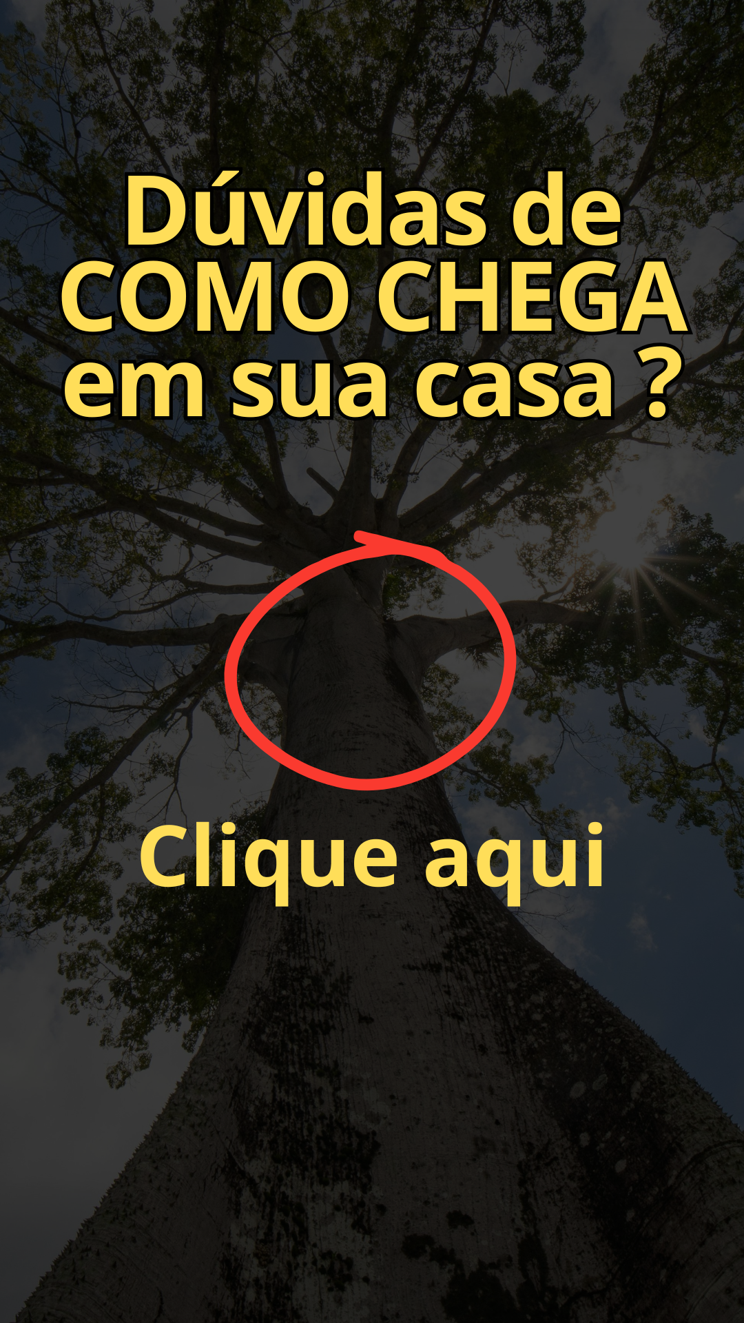 Vídeo