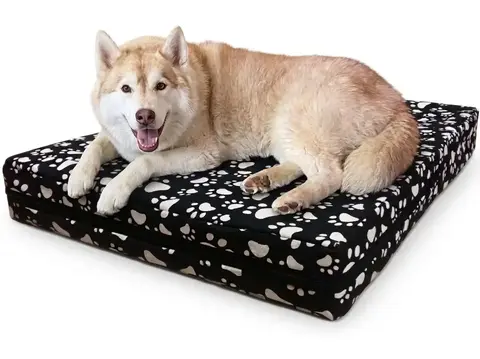 Colchón Cama Para Perro Grande Feeling Cloc 100x70x10