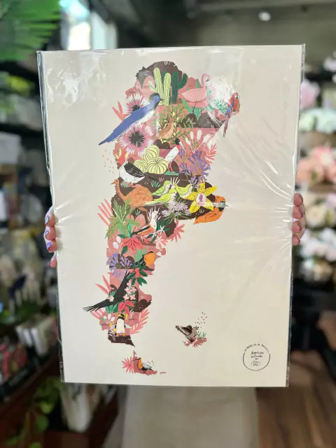 Lamina Mapoteca- Volando Argentina