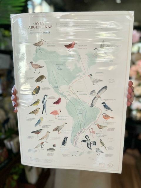 Lamina Mapoteca - Migración de aves argentinas