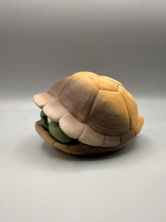 TORTUGA CAPARAZON ENOJADA - comprar en línea