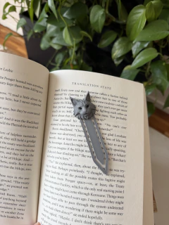 SEPARADOR DE LIBRO en internet