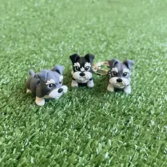 MI PELUDO X10 en internet