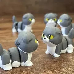 MI PELUDO X5 - METTODIC 3D