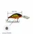 Señuelo Waterdog Holographic Shad 56mm - Tienda La Balsa