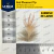 Red Pheasant Tip (10 Plumas de 3 a 5 cm.) - comprar online