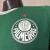 Palmeiras I 26/27 Jogador Masculina - Verde - comprar online