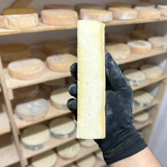 Queijo canastra OURO maturado 90 dias - comprar online