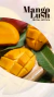 Vela de Soya Mango Lush