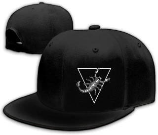 Bonés snapback para homens bonés aba reta para mulheres chapéu ajustado chapéus de caveira legal adulto boné de beisebol preto rock N Roll bonés, Escorpiões