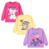 Kit 3 Blusas De Moletom Infantil Menina Inverno Feminino Frio Premium Quentinho Roupa Criança Peluciado - 1 A 8 Anos