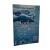Kit 02 Livros Silêncio E Reflexão - comprar online
