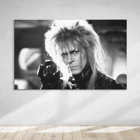 David Bowie II en internet