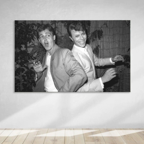 Bowie y McCartney en internet