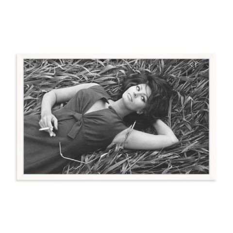 Sophia Loren - comprar online