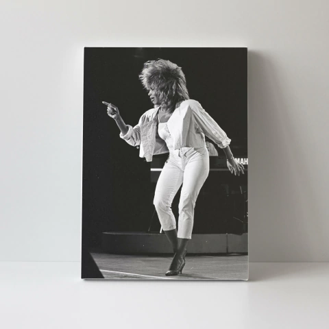 Tina Turner en internet