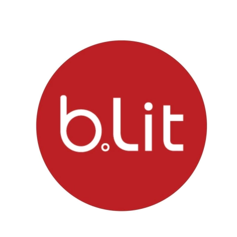 BLIT BAGS