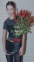 Carrusel 2