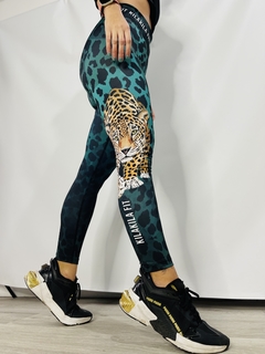 Calza POLISAP® SURVIVE - KilaKila Original Underwear