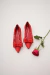 ZOARI FLATS (ZSA0356) - tienda online