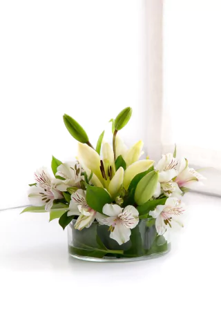 C1-lilium y alstromerias