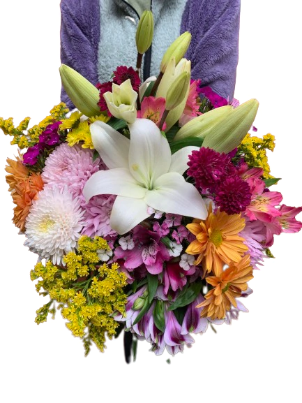 R146 Gran Ramo - comprar online