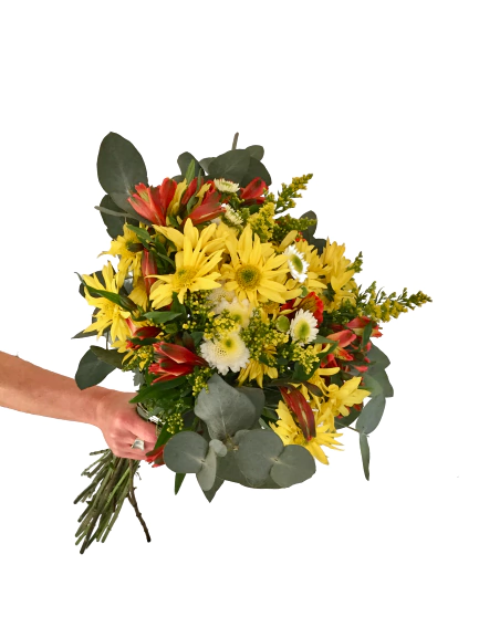 R118 - Ramo silvestre