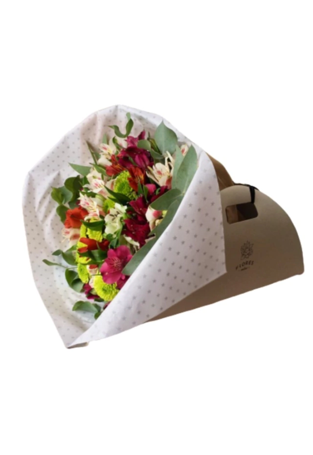 R110 - Mix colorido. - comprar online