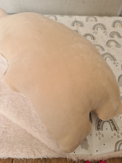 Almohadon India en internet