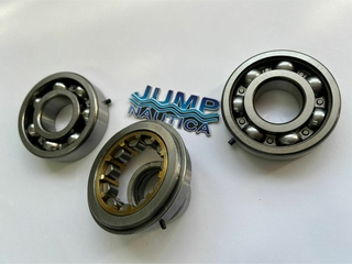 ROLAMENTO VIRA YAMAHA 25 HP DM KIT - comprar online