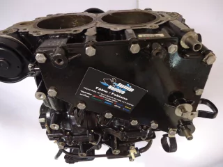 BLOCO EVINRUDE E-TEC 50 -60 USADO