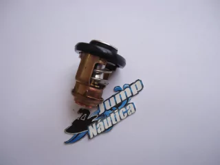 VÁLVULA TERMOSTÁTICA YAMAHA 6 A 250 HP 2T