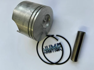 PISTÃO JOHNSON EVINRUDE 115-130-150-175-200 E-TEC STD PORT - comprar online