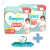 PROMO! 2 Pampers Premium Pants Talles Varios Pack Mensual + Toallitas X48 - tienda online