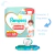 PROMO! 2 Pampers Premium Pants Talles Varios Pack Mensual + Toallitas X48 en internet