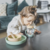Vaso Antiderrame Sophie La Girafe + 6 Meses - comprar online