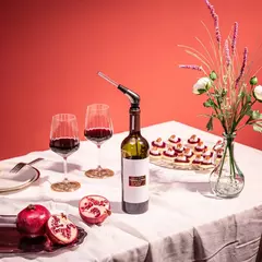 Imagen de Servidor dosificador Vertedor Vino Lento Slow Pourer Vacu Vin