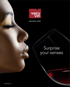 Imagen de Vaso Mezclador De Cocteles Profesional Barman Bartender - Vacu Vin Holanda