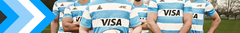 Banner de la categoría LOS PUMAS