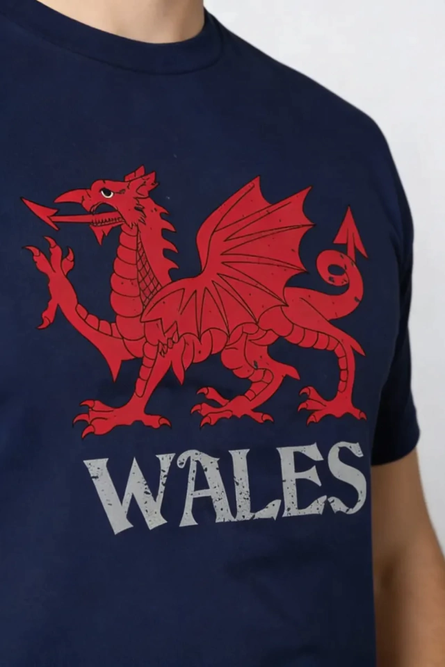 REMERA PICTON ARGENTINA WALES DRAGON GOCH MARINO — imagen 4