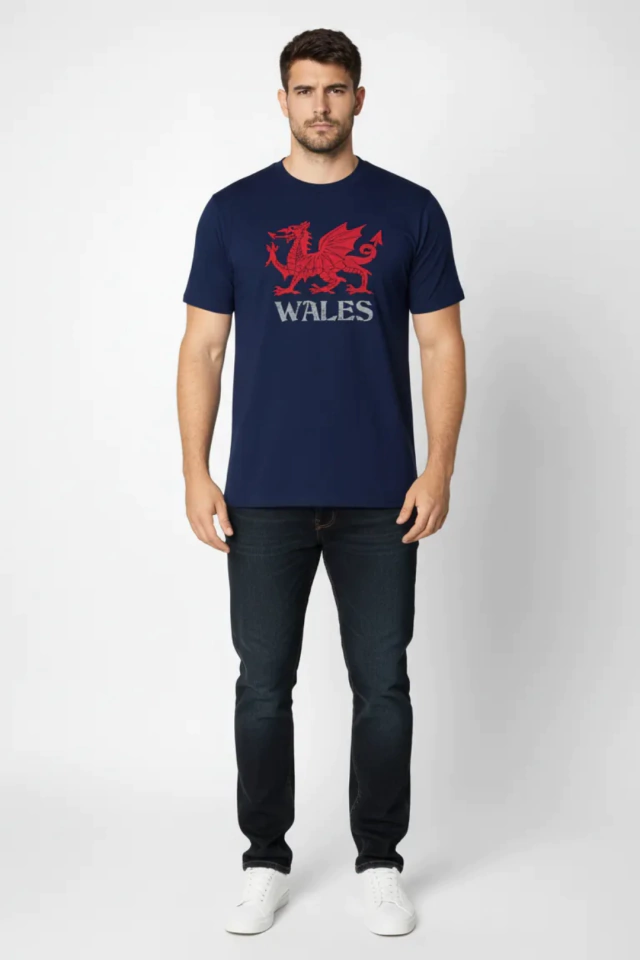 REMERA PICTON ARGENTINA WALES DRAGON GOCH MARINO — imagen 3