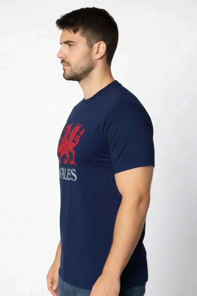 REMERA PICTON ARGENTINA WALES DRAGON GOCH MARINO — imagen 5