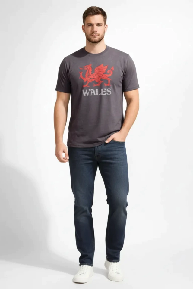 REMERA PICTON WALES DRAGON GOCH CENIZA — imagen 3