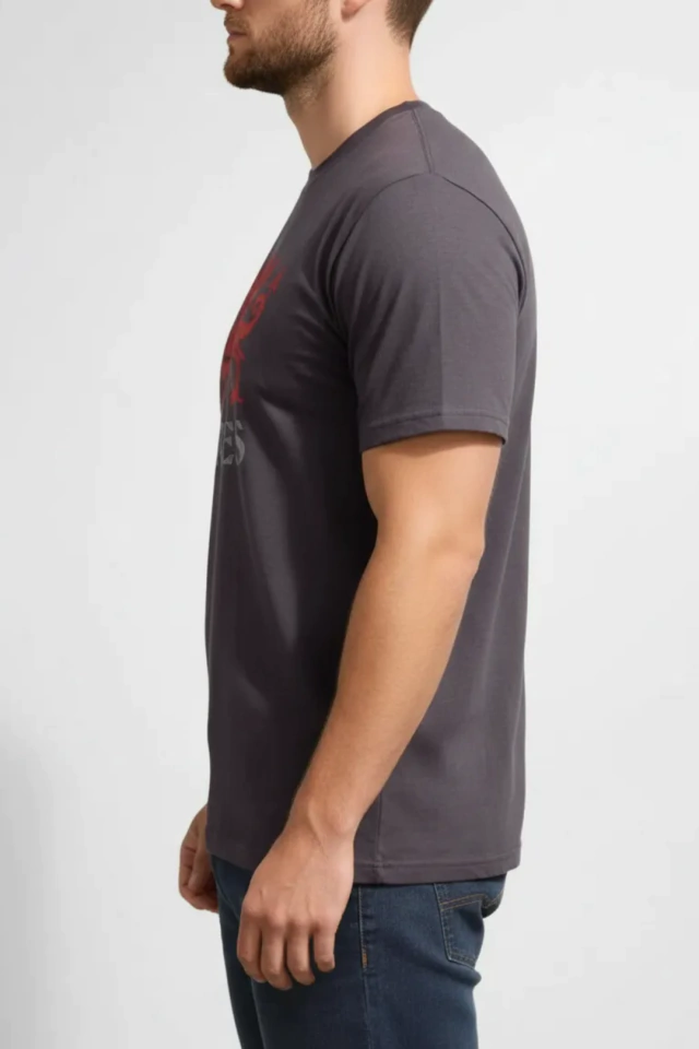 REMERA PICTON WALES DRAGON GOCH CENIZA — imagen 4