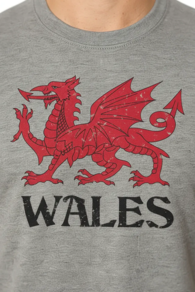 REMERA PICTON WALES DRAGON GOCH MELANGE — imagen 2