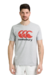 REMERA CANTERBURY LOGO TEE GRIS - comprar online
